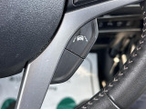 [車線維持支援機能]道路中央にお車が走るようにステアリングを操作していただけます。