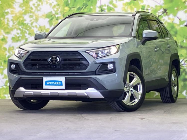 RAV4 2.0 アドベンチャー 4WD