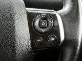 ステアリングスイッチで車両情報を切り替えて必要な情報を確認したりできます。