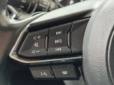 【スイッチパネル】オーディオ等の操作が運転しながらでも操作可能です。