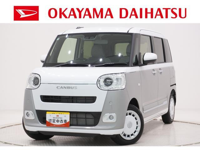 ムーヴキャンバス  ストライプス G