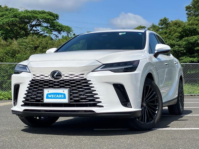 RX 450h プラス バージョンL 4WD