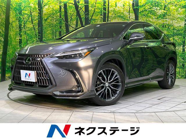 NX 450hプラス バージョンL 4WD 