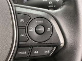 前方の車との車間を設定し、スピードを上げたり緩めたりを自動で行ってくれる追尾式の「レーダークルーズ」。上級装備の一つです!高級車にしかつかない嬉しい機能です。