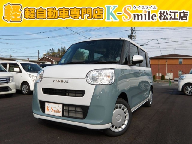 ムーヴキャンバス  ストライプス X