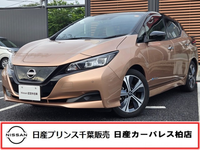 リーフ  X Vセレクション