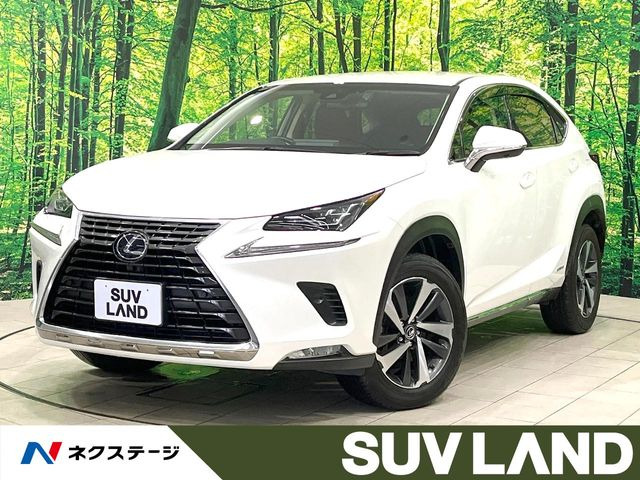NX 300h Iパッケージ 