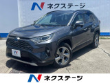 沖縄県内での販売・登録が条件※宮古島除く