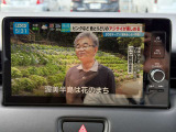 フルセグ