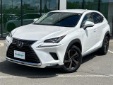 NX 300 バージョンL 4WD 4WD 本革シート