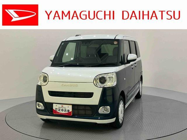ムーヴキャンバス  ストライプス G