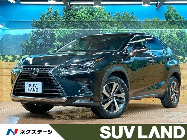 NX 200t Iパッケージ 