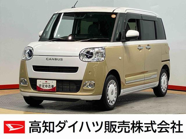 ムーヴキャンバス  ストライプス G