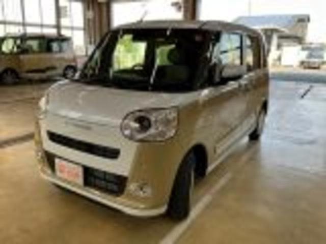 ムーヴキャンバス  ストライプス G