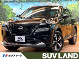 全周囲カメラ プロパイロット 後方車両検知 デジタルミラー 茶革 ETC