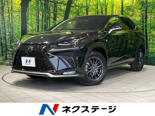 NX 300 Fスポーツ 