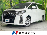 両側電動ドア 後席モニター バックカメラ 禁煙車 ハーフレザーシート