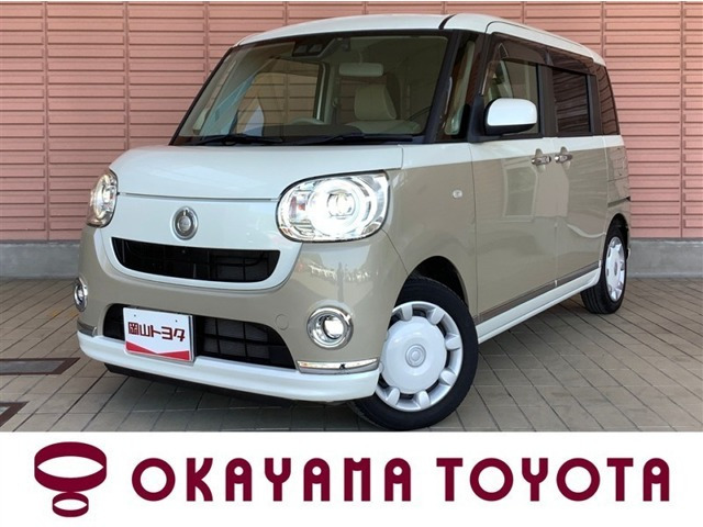 ムーヴキャンバス G メイクアップ リミテッド SAIII 