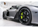 Altanero Shiny Black (21 22 forged)