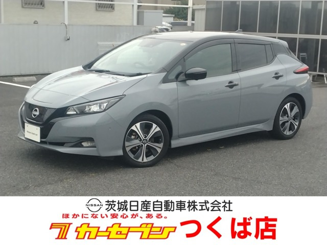 リーフ G 