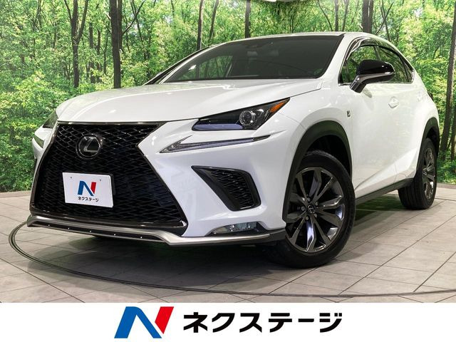 NX 300 Fスポーツ 