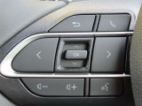ブルートゥースに接続すれば、スマホに入れている音楽が聞けたり運転中に電話がかかってきてしまった場合もハンドルから電話を取ることができます!