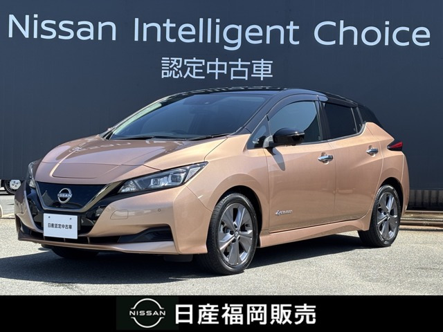 リーフ  アーバンクロム