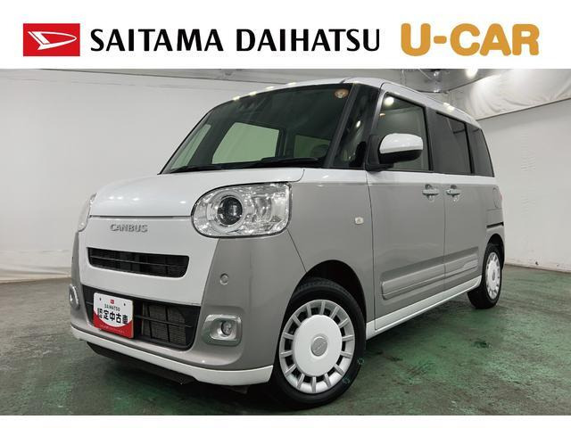 ムーヴキャンバス  ストライプス G