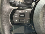 ステアリングにオーディオ操作スイッチが付いています。オーディオ画面に直接タッチしなくても操作が出来ますので、運転に集中できます。