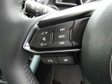 ステアリングヒーターが装備されています。寒い時期に快適な運転をサポートする機能です。