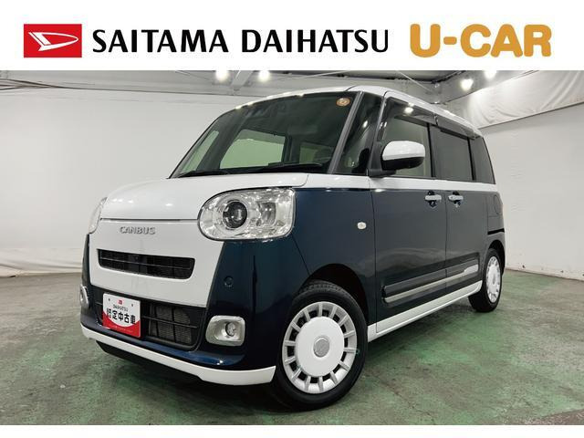 ムーヴキャンバス  ストライプス G