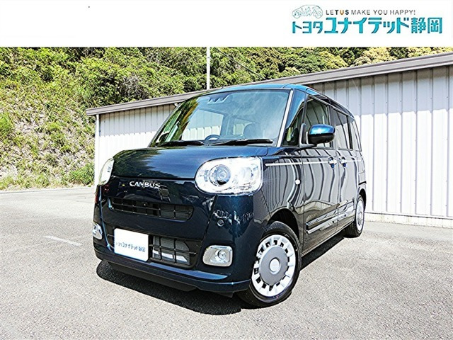 ムーヴキャンバス  セオリー G
