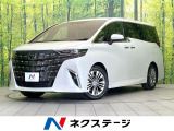 禁煙車 ガラスルーフ 両側電動ドア 純正14型ナビ 後席モニター