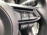 レーダークルーズコントロールの設定はステアリングスイッチで簡単に行えます。