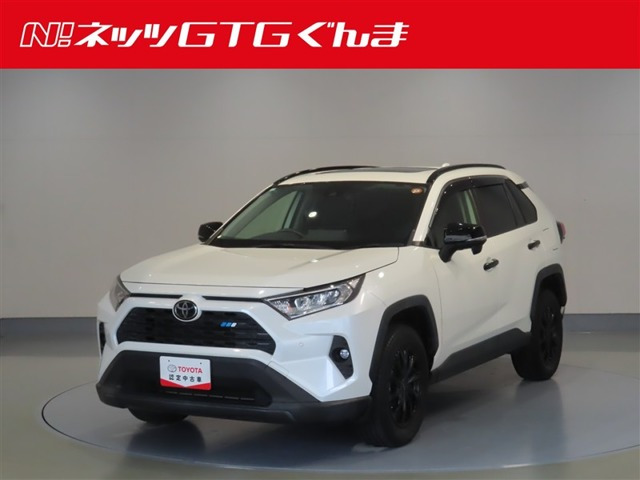 RAV4 2.0 X 