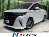 両側電動ドア 純正14型ナビ付ディスプレイオーディオ 後席モニター