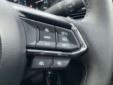 ミリ波レーダーで先行車との速度差や車間距離を認識。設定した車速内での車間距離を自動で調整・維持して、アクセル・ブレーキの操作なしで長距離ドライブの負担も軽減してくれます。