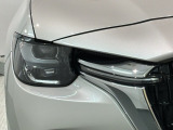 LEDヘッドライトは、点灯の瞬間から最大光量を発揮し、突然暗くなるトンネルなどでの安定感を高めます。
