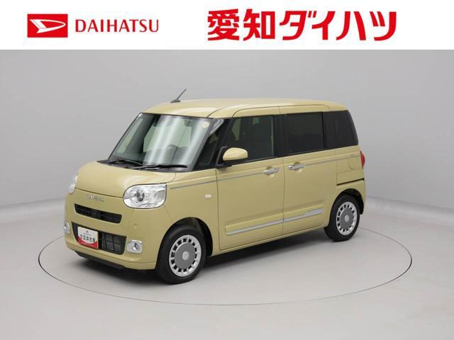 ムーヴキャンバス  セオリー G