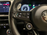 ステアリング左側で運転支援系の操作