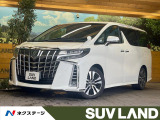 サンルーフ 純正10型ナビ バックカメラ レーダークルーズ ETC