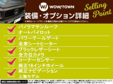 モデル3  本革シート サンルーフ