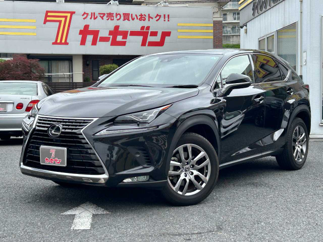 NX 300 バージョンL 