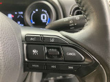 レーダークルーズコントロールつきです!高速道路運転時の疲労軽減につながります!