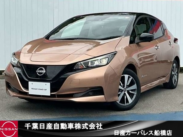 リーフ X 