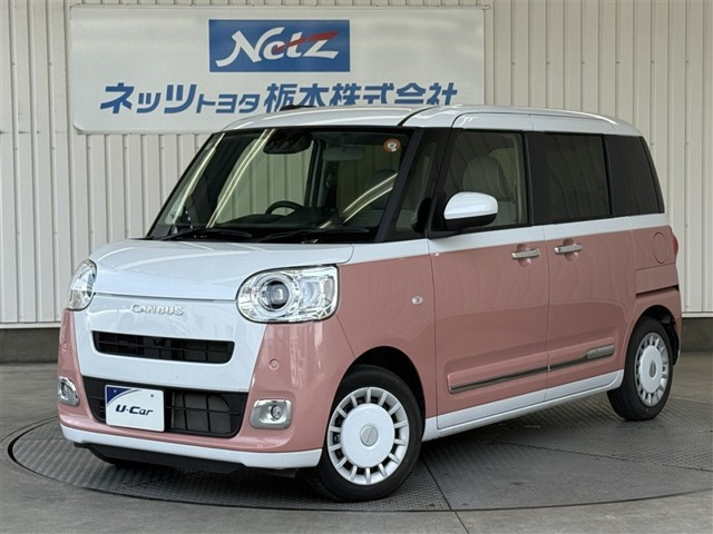 ムーヴキャンバス  ストライプス G
