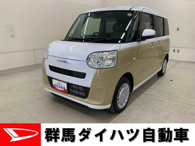ムーヴキャンバス  ストライプス X