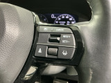 クルーズコントロールを装備しています。高速道路などで一定の速度で走ってくれるので運転が楽ですよ!速度を設定できますので、スピードの出しすぎにも注意できます。