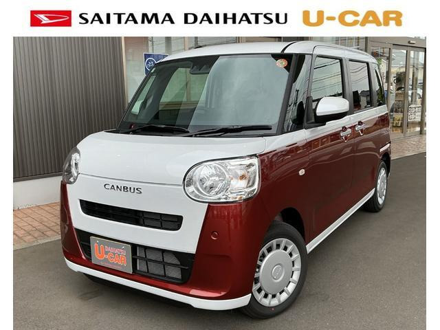ムーヴキャンバス  ストライプス X
