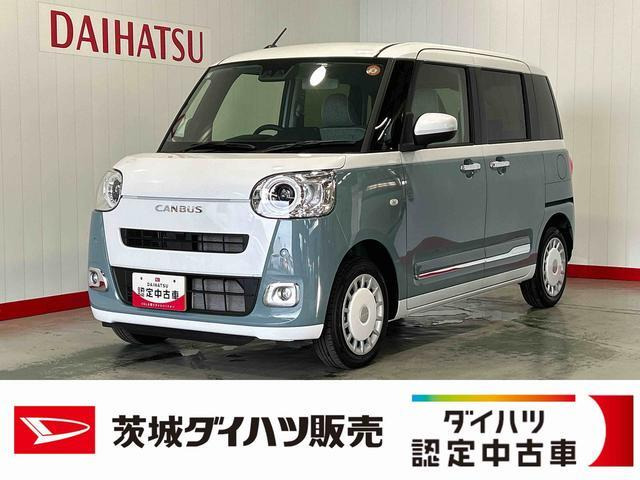 ムーヴキャンバス  ストライプス G